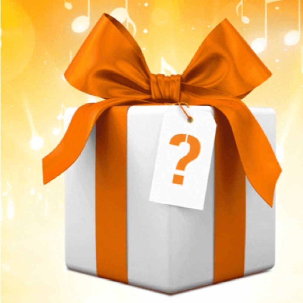 Lingerie- Mystery Box- All New With Tags- $150+ Lingerie - Size Large